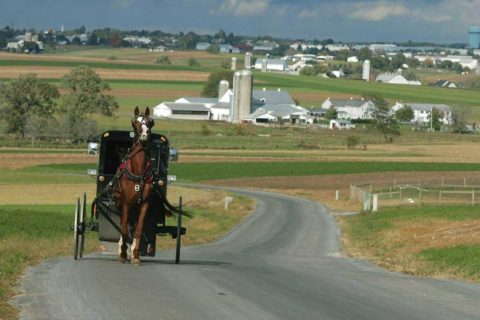 horse bugey in lancaster pa