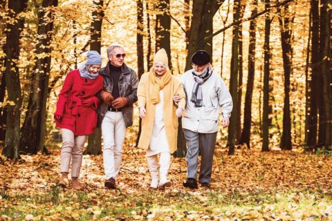seniors walking in forest in fall