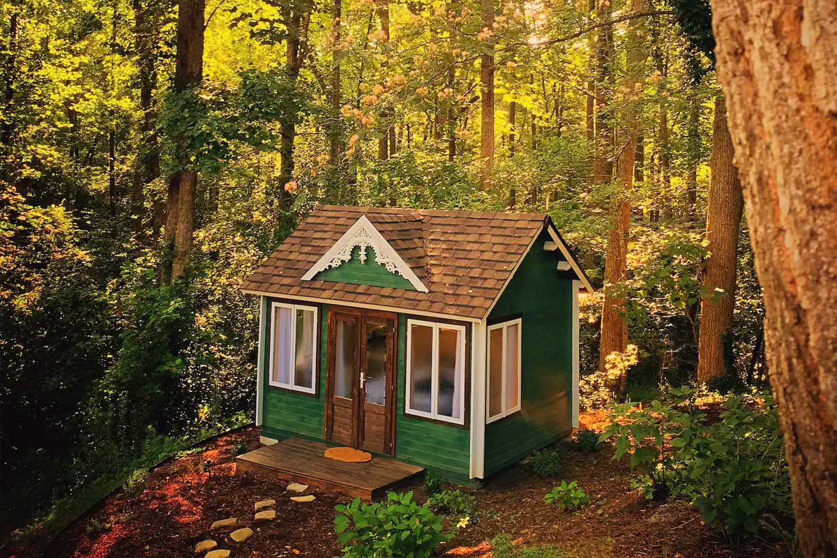 green cabin surrounded by trees