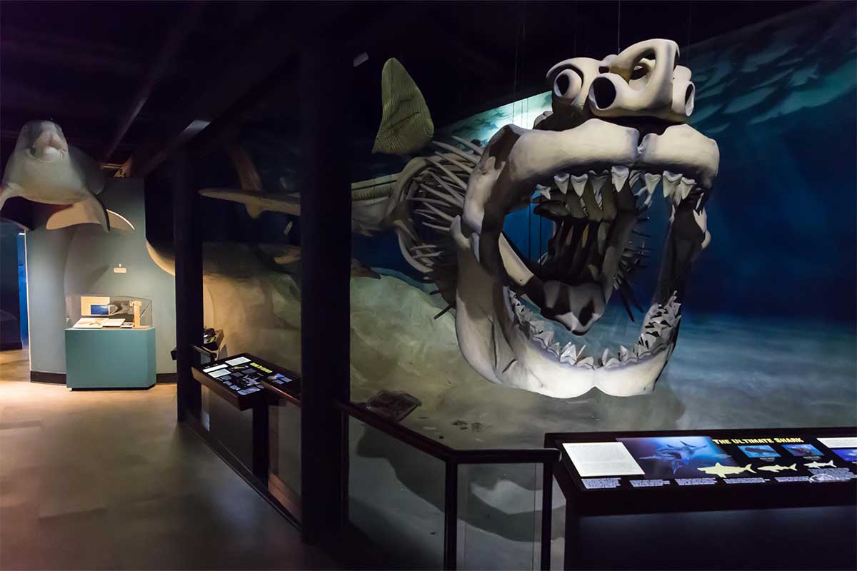 calvert marine museum