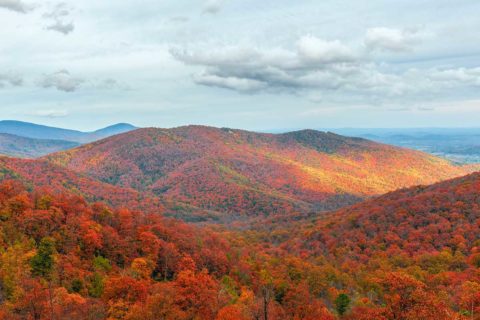fall foliage at skyline drive