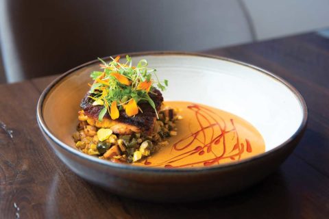blend 111 dish