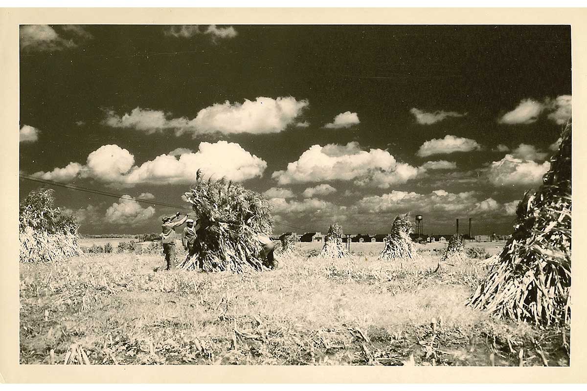 prisoners in the field