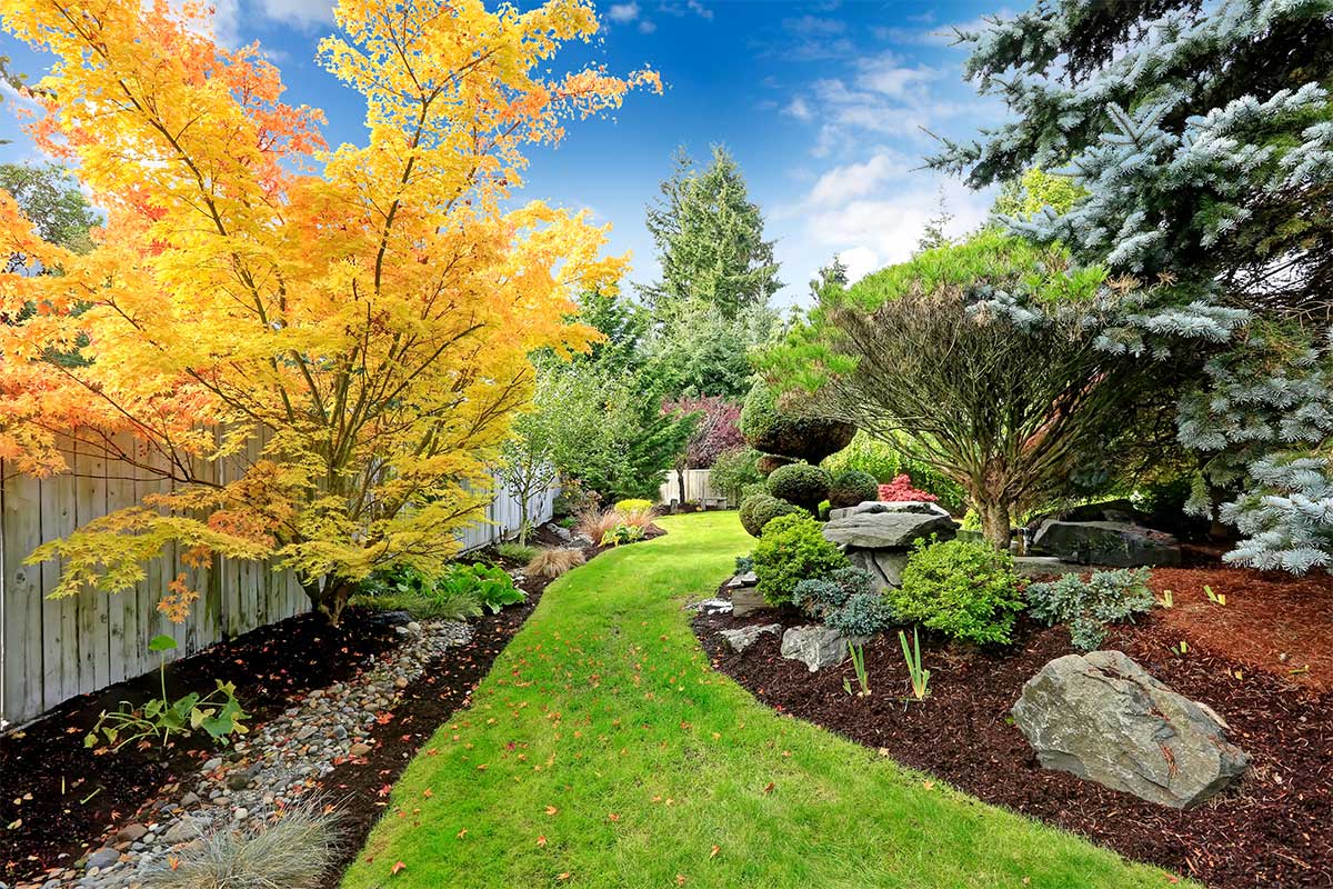 fall yard landscape design