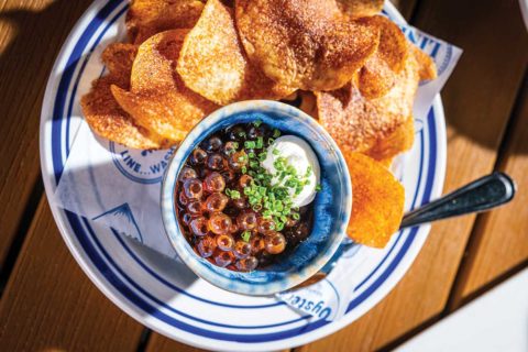 salt line dish