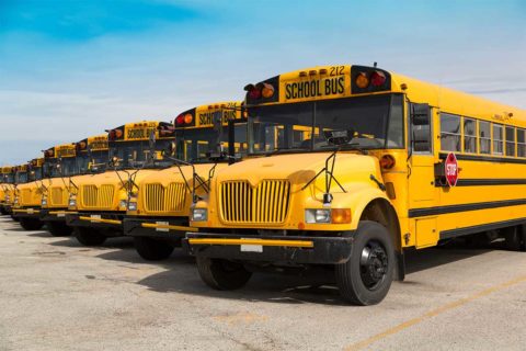 row of school buses
