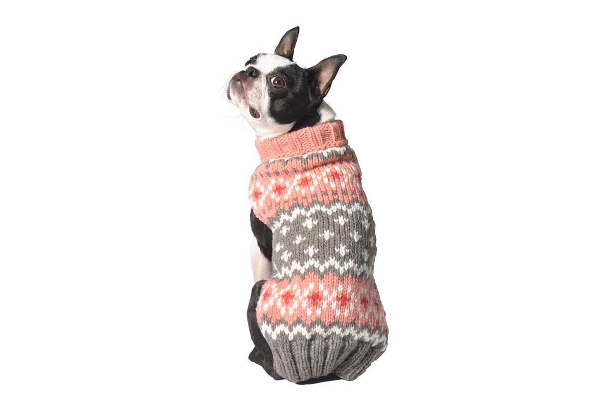 dog sweater