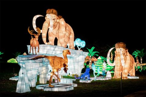 dc lantern festival