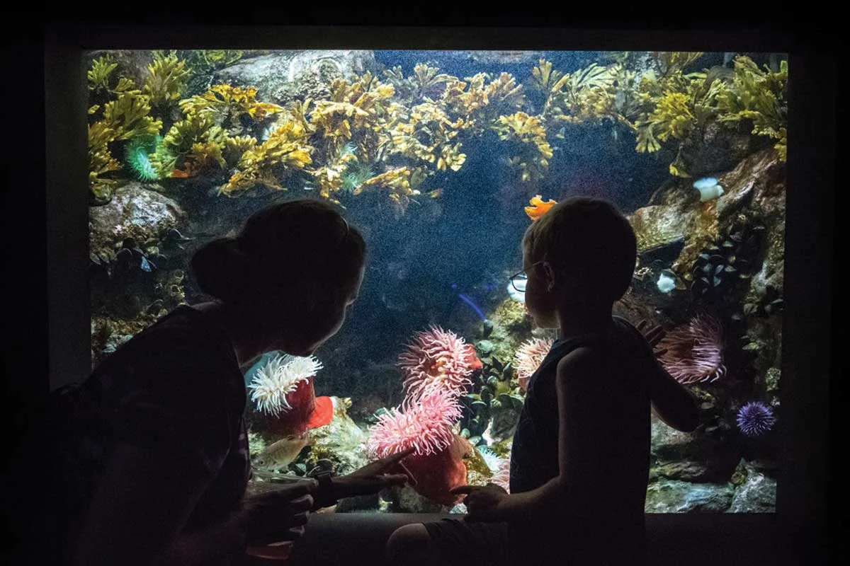 national aquarium