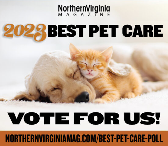 2023 best pet care poll asset