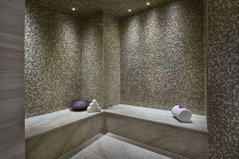 ritz carlton sauna