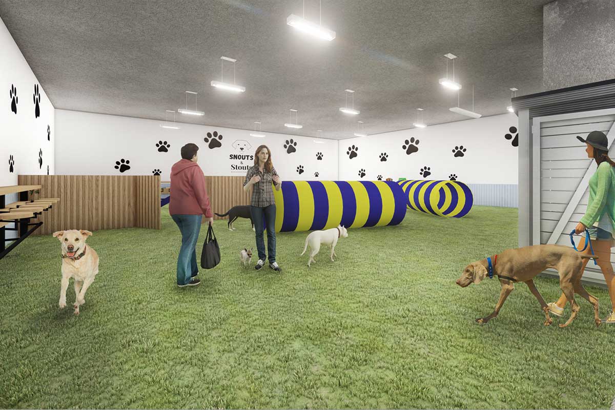 snouts and stouts indoor dog park rendering