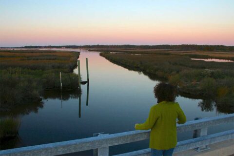 woman overlooking marshlands