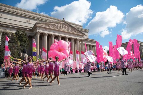 Cherry Blossom Festival