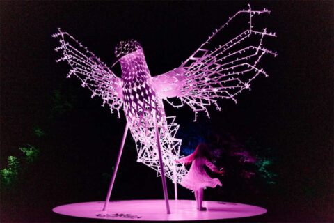 Light display at NOVA Wild, former Reston zoo