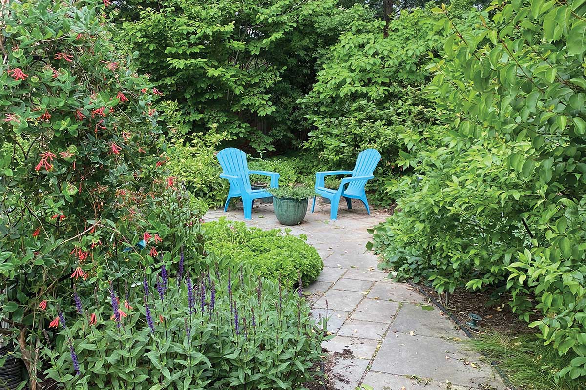 environmentally friendly garden with patio
