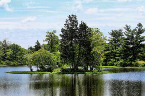 Prince William County park