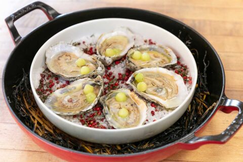 Oysters on a plate