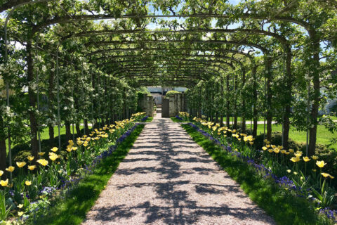 Garden featured in Historic Garden Week
