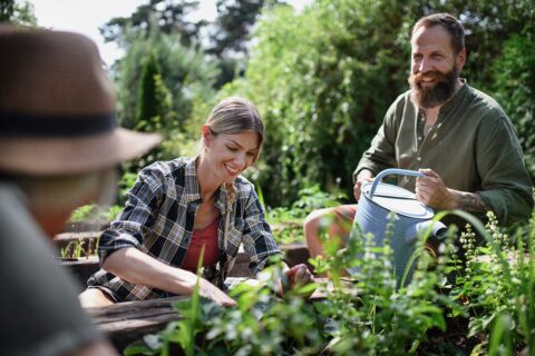 people in a community garden