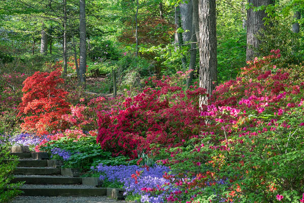 Visit These Botanical Gardens And Arboretums This Spring