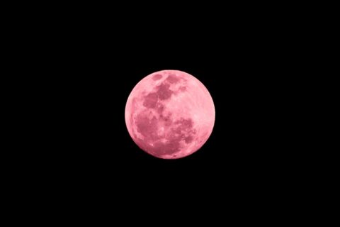 pink full moon