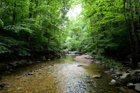 Scott's Run. (Photo courtesy Fairfax County Park Authority)