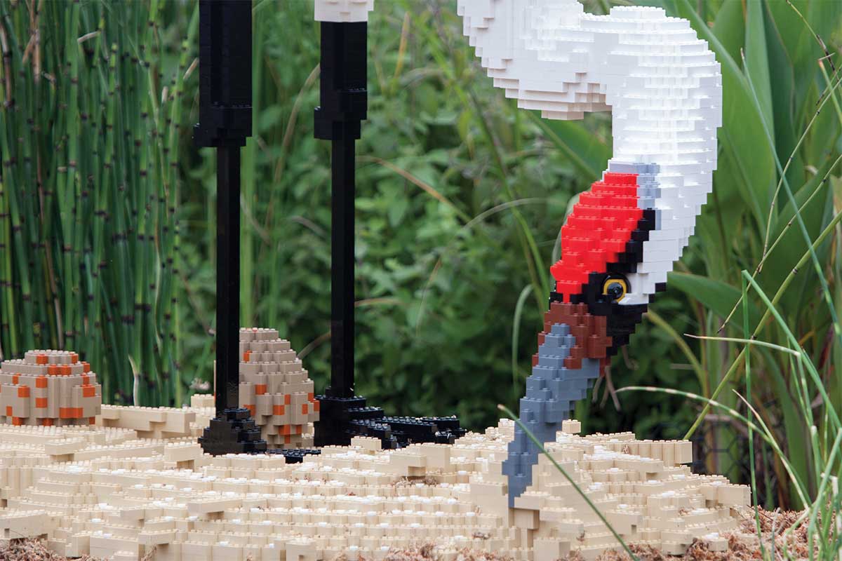 Lego sculpture of bird from Nature connects made with Lego bricks