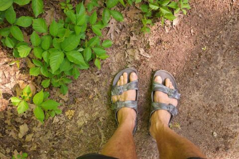 man's feet by poison ivy