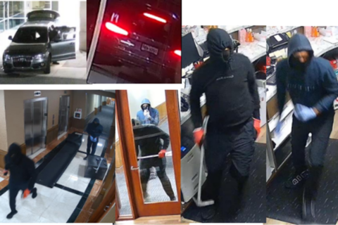 Alleged suspects at the June 10 burglary in the 8500 block of Arlington Boulevard in Fairfax. (Courtesy Fairfax County Police Department)