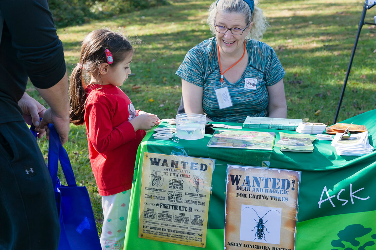 Child at information desk in park, learning about insects