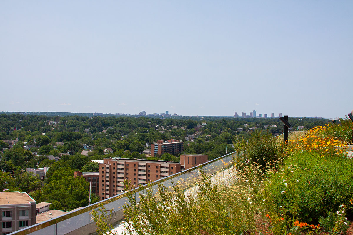 The view from one of the terraces at Amazon's HQ2