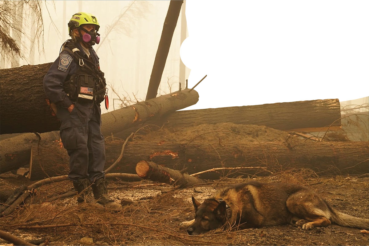 Person and dog standing in dust and debris