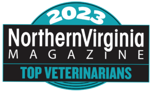 2023 Top Veterinarians badge teal