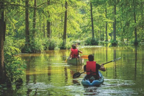 people kayaking on river