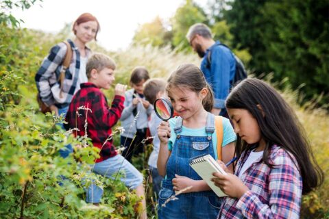 children identifying plants
