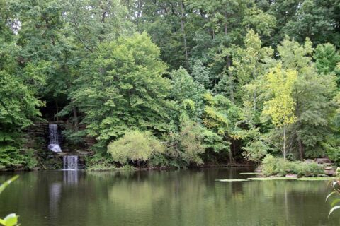 winkler botanical preserve