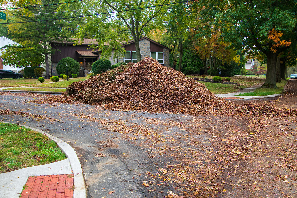 Pile of leaves on curb