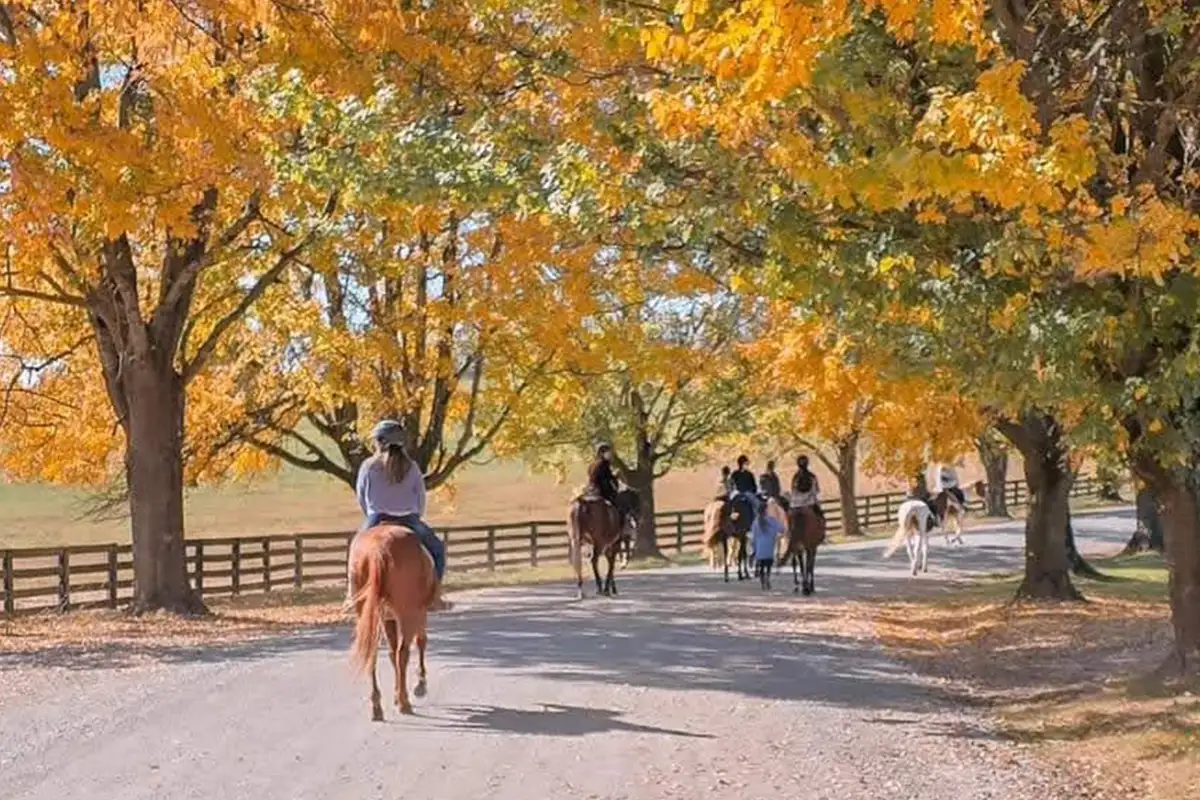 people riding horses with fall foliage in the background