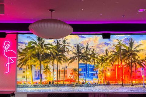 miami vibes pop-up bar