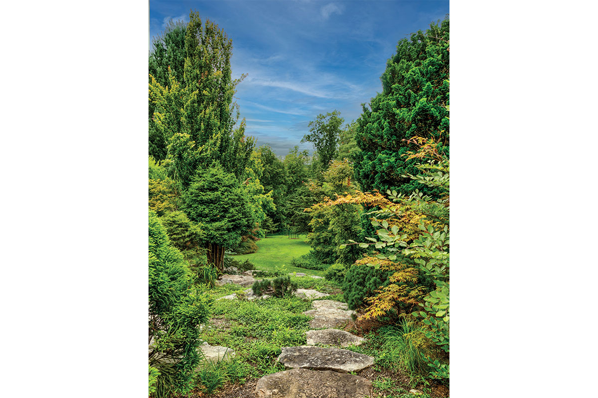 Stone path with trees at Birchwood Arboretum