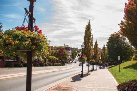 Tree-lined street in Blacksburg