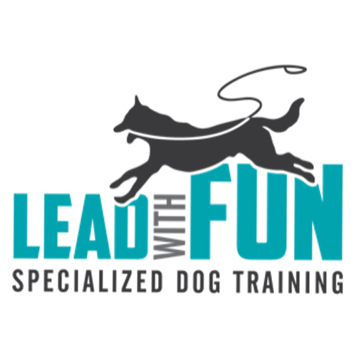 Lead with Fun