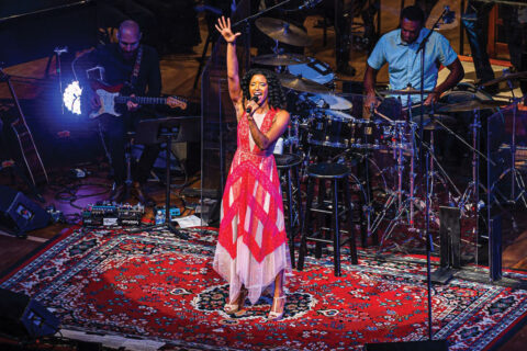 Renee Elise Goldsberry singing on stage