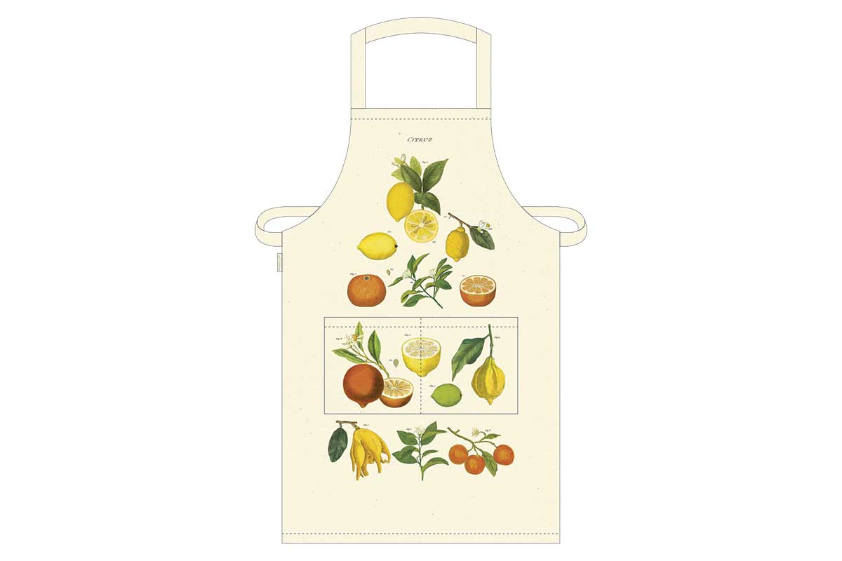 apron with fruit images