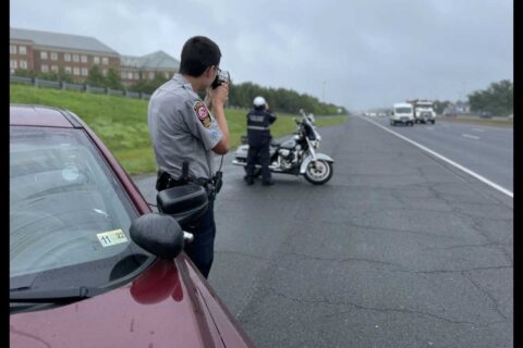 Road Shark