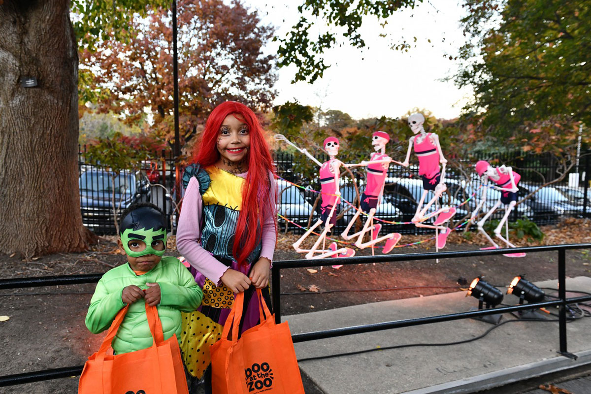 Two children in Halloween costumes in front of skeleton decorations