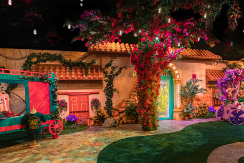 Encanto-themed room with a house covered in flowers