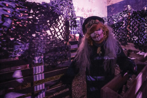 Person in scary costume
