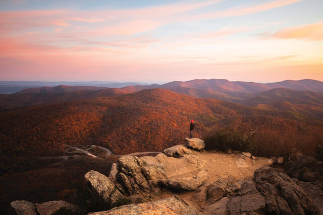 person standing at Mary's Rock in Shenandoah at sunrise, surrounded by fall foliage